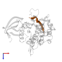 Insulin receptor substrate 2 in PDB entry 3bu5, assembly 1, top view.