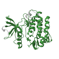 The deposited structure of PDB entry 3bu6 contains 1 copy of Pfam domain PF07714 (Protein tyrosine and serine/threonine kinase) in Insulin receptor subunit beta. Showing 1 copy in chain A.