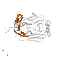 DNA (5'-D(*DTP*DCP*DGP*DCP*DAP*DGP*DTP*DTP*DAP*DTP*DAP*DCP*DA)-3') in PDB entry 3buc, assembly 1, front view.