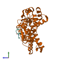 PDB entry 3bum coloured by chain, side view.