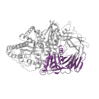The deposited structure of PDB entry 3bup contains 1 copy of CATH domain 2.70.98.30 (Beta-galactosidase; Chain A, domain 5) in Alpha-mannosidase 2. Showing 1 copy in chain A.