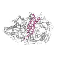 The deposited structure of PDB entry 3bup contains 1 copy of Pfam domain PF09261 (Alpha mannosidase middle domain) in Alpha-mannosidase 2. Showing 1 copy in chain A.