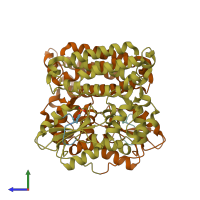 PDB entry 3bux coloured by chain, side view.