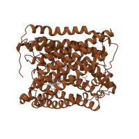 The deposited structure of PDB entry 3bvd contains 1 copy of CATH domain 1.20.210.10 (Cytochrome C Oxidase; Chain A) in Cytochrome c oxidase subunit 1. Showing 1 copy in chain A.