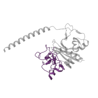 The deposited structure of PDB entry 3bvh contains 2 copies of CATH domain 4.10.530.10 (Gamma-fibrinogen Carboxyl Terminal Fragment; domain 2) in Fibrinogen beta chain. Showing 1 copy in chain B.