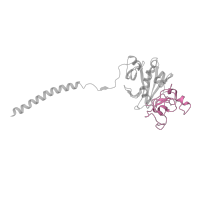 The deposited structure of PDB entry 3bvh contains 2 copies of CATH domain 4.10.530.10 (Gamma-fibrinogen Carboxyl Terminal Fragment; domain 2) in Fibrinogen gamma chain. Showing 1 copy in chain C.