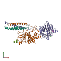 Hetero pentameric assembly 2 of PDB entry 3bvh coloured by chemically distinct molecules, front view.