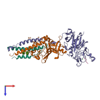 Hetero pentameric assembly 2 of PDB entry 3bvh coloured by chemically distinct molecules, top view.