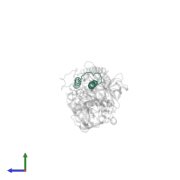 Fibrinogen alpha chain in PDB entry 3bvh, assembly 2, side view.