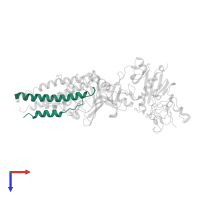Fibrinogen alpha chain in PDB entry 3bvh, assembly 2, top view.