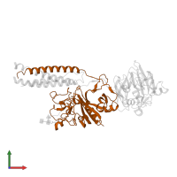 Fibrinogen beta chain in PDB entry 3bvh, assembly 2, front view.