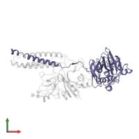 Fibrinogen gamma chain in PDB entry 3bvh, assembly 2, front view.