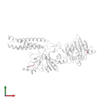 4-mer peptide GPRP in PDB entry 3bvh, assembly 2, front view.