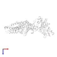 4-mer peptide GPRP in PDB entry 3bvh, assembly 2, top view.
