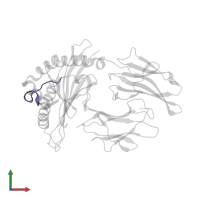 65 kDa phosphoprotein in PDB entry 3bw9, assembly 1, front view.