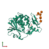 3D model of 3bwh from PDBe