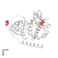 Modified residue SEP in PDB entry 3bwj, assembly 1, top view.