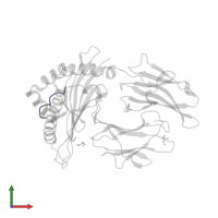 Lysosomal protective protein in PDB entry 3bxn, assembly 1, front view.