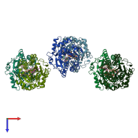 PDB entry 3bxx coloured by chain, top view.