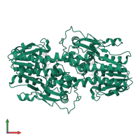 Dihydroflavonol 4-reductase in PDB entry 3bxx, assembly 3, front view.