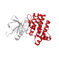 The deposited structure of PDB entry 3bys contains 1 copy of CATH domain 1.10.510.10 (Transferase(Phosphotransferase); domain 1) in Tyrosine-protein kinase Lck. Showing 1 copy in chain A.