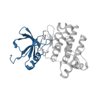 The deposited structure of PDB entry 3bys contains 1 copy of CATH domain 3.30.200.20 (Phosphorylase Kinase; domain 1) in Tyrosine-protein kinase Lck. Showing 1 copy in chain A.