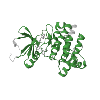 The deposited structure of PDB entry 3bys contains 1 copy of Pfam domain PF07714 (Protein tyrosine and serine/threonine kinase) in Tyrosine-protein kinase Lck. Showing 1 copy in chain A.