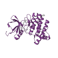 The deposited structure of PDB entry 3bys contains 1 copy of SCOP domain 88854 (Protein kinases, catalytic subunit) in Tyrosine-protein kinase Lck. Showing 1 copy in chain A.