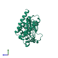 Focal adhesion kinase 1 in PDB entry 3bz3, assembly 1, side view.