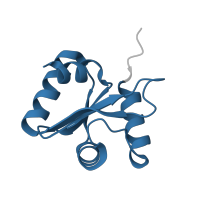 The deposited structure of PDB entry 3bzp contains 1 copy of Pfam domain PF01312 (FlhB HrpN YscU SpaS Family) in EscU protein. Showing 1 copy in chain A.