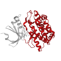 The deposited structure of PDB entry 3c0h contains 2 copies of CATH domain 1.10.510.10 (Transferase(Phosphotransferase); domain 1) in Peripheral plasma membrane protein CASK. Showing 1 copy in chain A.
