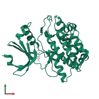 Peripheral plasma membrane protein CASK in PDB entry 3c0i, assembly 1, front view.