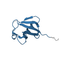 The deposited structure of PDB entry 3c0r contains 2 copies of Pfam domain PF00240 (Ubiquitin family) in Ubiquitin. Showing 1 copy in chain B.