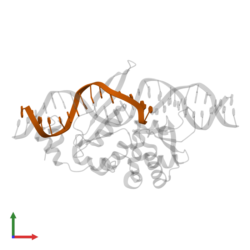 embl ebi