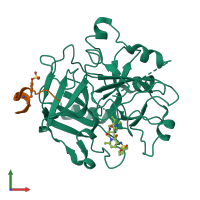 PDB entry 3c1k coloured by chain, front view.