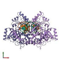 PDB entry 3c25 coloured by chain, front view.