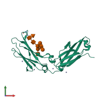 PDB entry 3c2s coloured by chain, front view.