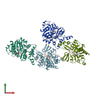 PDB entry 3c3e coloured by chain, front view.