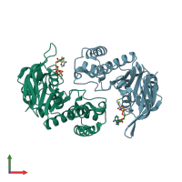 PDB entry 3c41 coloured by chain, front view.