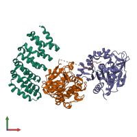 PDB entry 3c5w coloured by chain, front view.