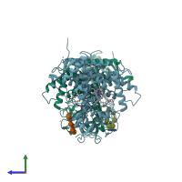 PDB entry 3c6g coloured by chain, side view.