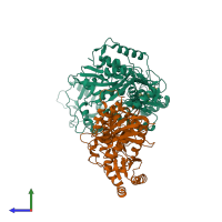 PDB entry 3c6t coloured by chain, side view.