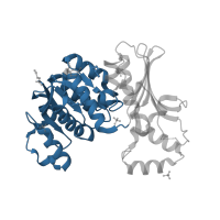 The deposited structure of PDB entry 3c8m contains 1 copy of CATH domain 3.40.50.720 (Rossmann fold) in homoserine dehydrogenase. Showing 1 copy in chain A.