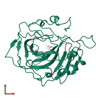Carbonic anhydrase 2 in PDB entry 3ca2, assembly 1, front view.