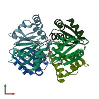 PDB entry 3cag coloured by chain, front view.