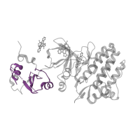The deposited structure of PDB entry 3cbl contains 1 copy of Pfam domain PF00017 (SH2 domain) in Tyrosine-protein kinase Fes/Fps. Showing 1 copy in chain A.
