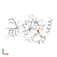 Estrogen receptor in PDB entry 3cbm, assembly 1, front view.