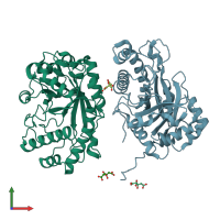 PDB entry 3cbw coloured by chain, front view.