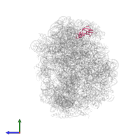 Large ribosomal subunit protein eL31 in PDB entry 3cc2, assembly 1, side view.