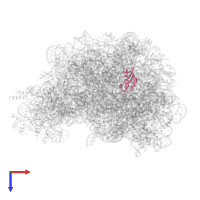 Large ribosomal subunit protein eL31 in PDB entry 3cc2, assembly 1, top view.